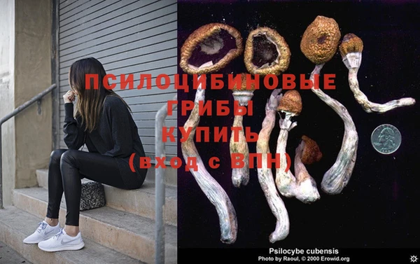 apvp Алексеевка