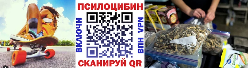Галлюциногенные грибы Psilocybe  Ахтырский 